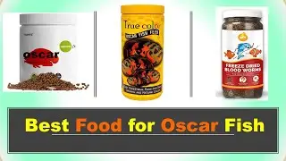 Best Food for Oscar Fish in India 2023 ⚡ सबसे अच्छा ऑस्कर फिश फूड ⚡