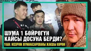 Шума 1 бөйрөгүн кайсы досуна берди?