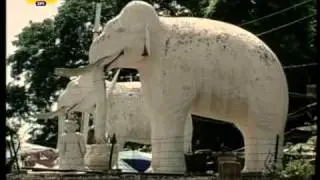 White elephant of Thailand.avi