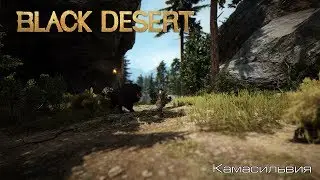 Black Desert l Камасильвия l