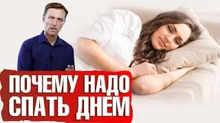 Сила дневного сна 😴 Почему дневной сон так полезен