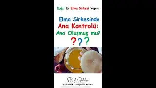 Elma Sirkesinde ANA KONTROLÜ: Ana Oluşmuş mu? (Video 5)