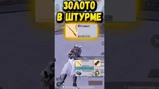 😱НАШЕЛ ЗОЛОТО в ШТУРМЕ 