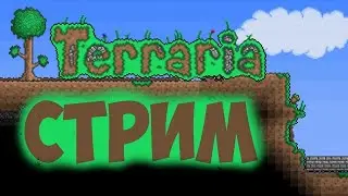 СТРИМ TERRARIA #1