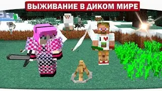 ч.05 Сумасшедшее Торнадо украло Диллерона!! Прощай остров!! - Выживание в диком мире (Lp.Minecraft)