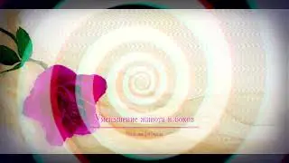УБРАТЬ ЖИВОТ И БОКА • медитация саблиминал +