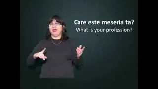 What Is Your Profession? / Care este meseria ta?