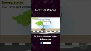 Internal Forces | Applied Forces | Internal and External Forces | Science