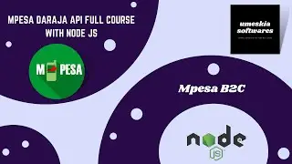 MPESA DARAJA API FULL COURSE WITH NODE.JS - Mpesa B2C