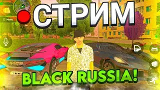 😸ЖДЁМ ОБНОВУ С НОВЫМ ГОРОДОМ! КОНТЕЙНЕРЫ и ОБЩЕНИЕ! - BLACK RUSSIA