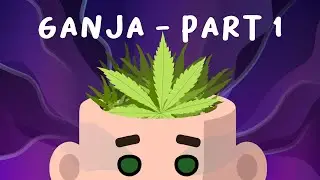 How does Marijuana Affect Your Body?  |  Introduction to Marijuana Part 1