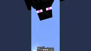 Minecraft memes