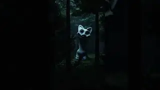 Кто такой Smile Cat | Zoonomaly