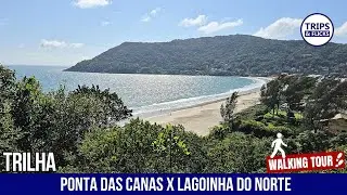 🌿🏖️ Caminhada Imperdível! De Ponta das Canas à Praia Brava – Exploração em Floripa! 🌅👣