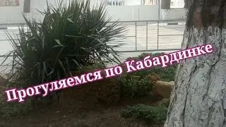 Делаю прививку от гриппа, гуляю по Кабардинке, у нас Бабье лето! Кабардинка 2021.