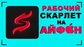 Как скачать скарлет на айфон | Как скачать новый тик ток на айфон