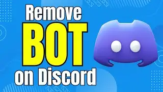 How to Remove a bot in Discord