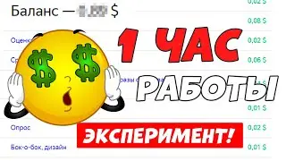 Я работал на Яндекс Толоке 1 час и заработал...