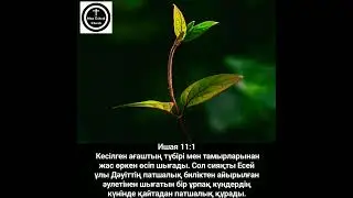 ‭‭Ишая‬ ‭11:1‬ Кесілген ағаштың түбірі мен тамырларынан жас өркен өсіп шығады. Сол сияқты 