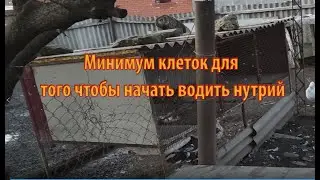 СКОЛЬКО НУЖНО КЛЕТОК ДЛЯ НУТРИЙ.  Видео для начинающих заводчиков.