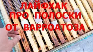 Лайфхак про полоски от варроатоза