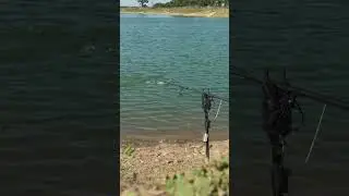 Explosive Margin Bite 🤯