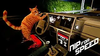Nip For Speed - A Crazed Cat Drives a Car While the Cops Give Chase in this Ridiculous Road Trip!