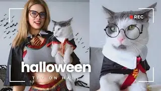 Halloween Try On Haul with My Cat, Jack!