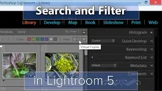 Searching and Filtering Tips for Lightroom 5