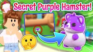 SECRET🤫*PURPLE*💜HAMSTER in Adopt Me Pet Shop Hamster Update 2024! Is There a Purple Hamster Theory!