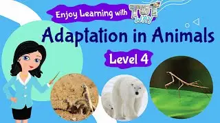 Animal Adaptations For Kids | Science | Grade 3 & 4 | TutWay