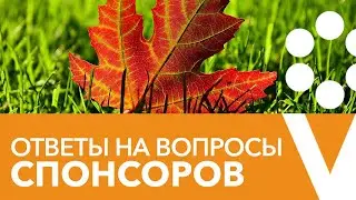 Прямой эфир со спонсорами канала 20.10.2020