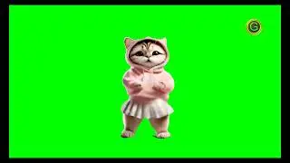 Cute Female Cat Dancing Green Screen HD (2024)