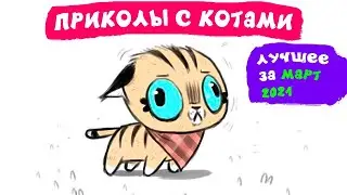 Приколы с котами. ЛУЧШЕЕ ЗА МАРТ 2021 | Мемозг