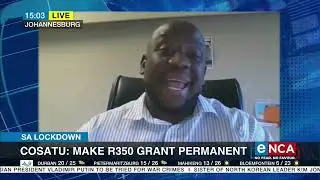 Cosatu says make R350 grant permanent
