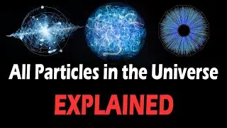 Every Particle in the Universe in 8 minutes