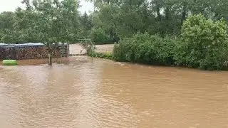 Animals Escape Zoo After Flooding In Western Germany