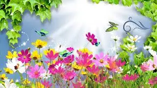 Футаж Летний Природа летом Сказочный фон