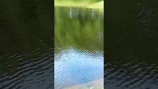 Михайловский сад/Санкт-Петербург
