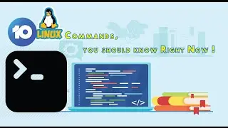 Basic Linux Terminal Commands which you should learn Right Now(For Beginners)