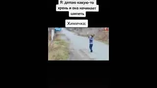 КОГДА У МЕНЯ ЧТО-ТО ШИПИТ, ХИМИЧКА: