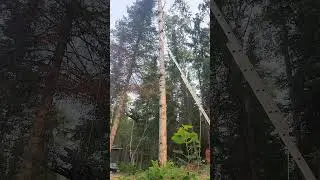 instant karma for problem raven