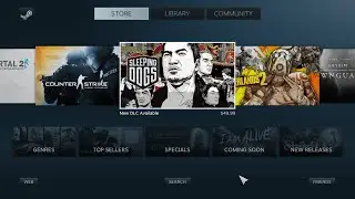 Is there a way to tell a Steam shortcut to open in big picture mode?