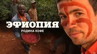 Эфиопия. Родина кофе