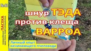 Обработка шнуром тэда от клеща ВАРРОА (от варратоза). Личный опыт начинающего пчеловода.