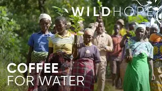 The community impact of shade-grown coffee | WILD HOPE