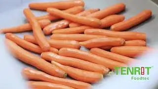 Машина для чистки моркови (прямой и конусообразной) Tenrit Solo C