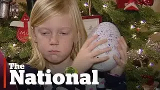 Hatchimals: a disappointing hatch?