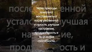 Звуки природы: звуки воды, звуки реки, звуки дождя, звуки птиц для максимального расслабления 88 Гц