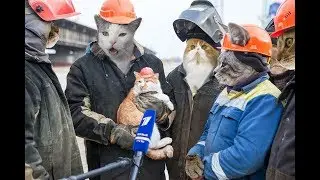 Про русский мат